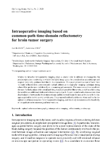 Intraoperative imaging based on common-path time-domain reflectometry for brain tumor surgery