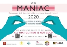 2nd Microscopic Art Non-Limited International Annual Contest MANIAC 2020 - wystawa pokonkursowa