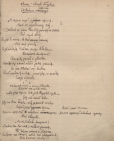 [Notatnik poetycki z 1889 roku, zawierający wiersze i przekłady literackie]