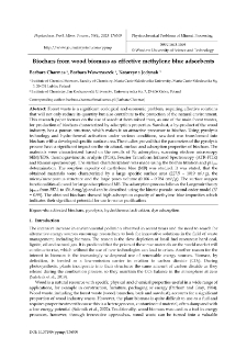 Biochars from wood biomass as effective methylene blue adsorbents