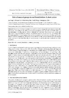 Role of maceral groups in coal beneficiation : A short review