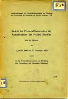 Bericht des Provinzial-Konservators der Kunstdenkmäler der Provinz Schlesien über die Tätigkeit vom 1. Januar 1909 bis 31. Dezember 1910